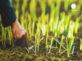 EU Development Days open with focus on hunger in Africa