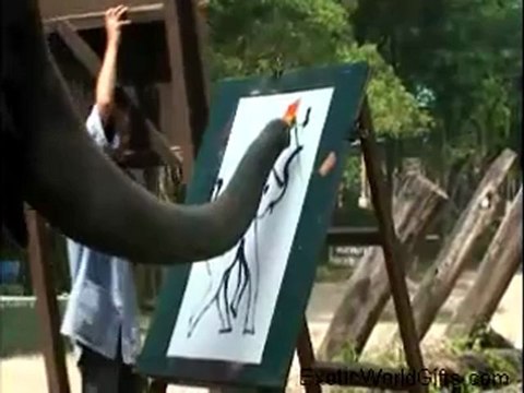 Elephant Painting