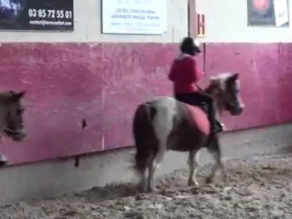 Trot en équilibre G1