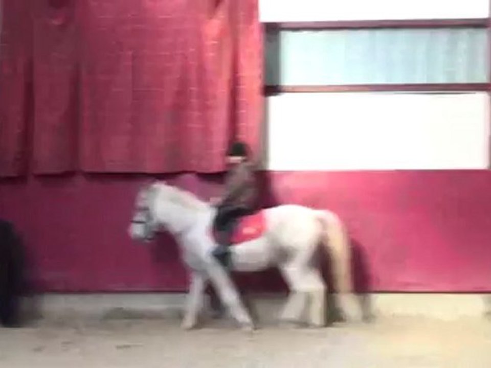 Trot G1