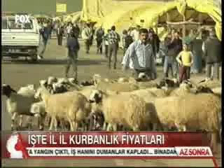 Fox 16 Ek WWWNEBUAMKNET