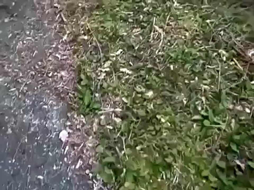 UFO SENDO ESCOLTADO POR 2 JETS MILITARES 14-08-2011 na Espanha