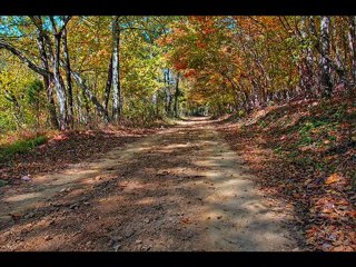 Tuğçe Pala ~ Ankara Sokakları