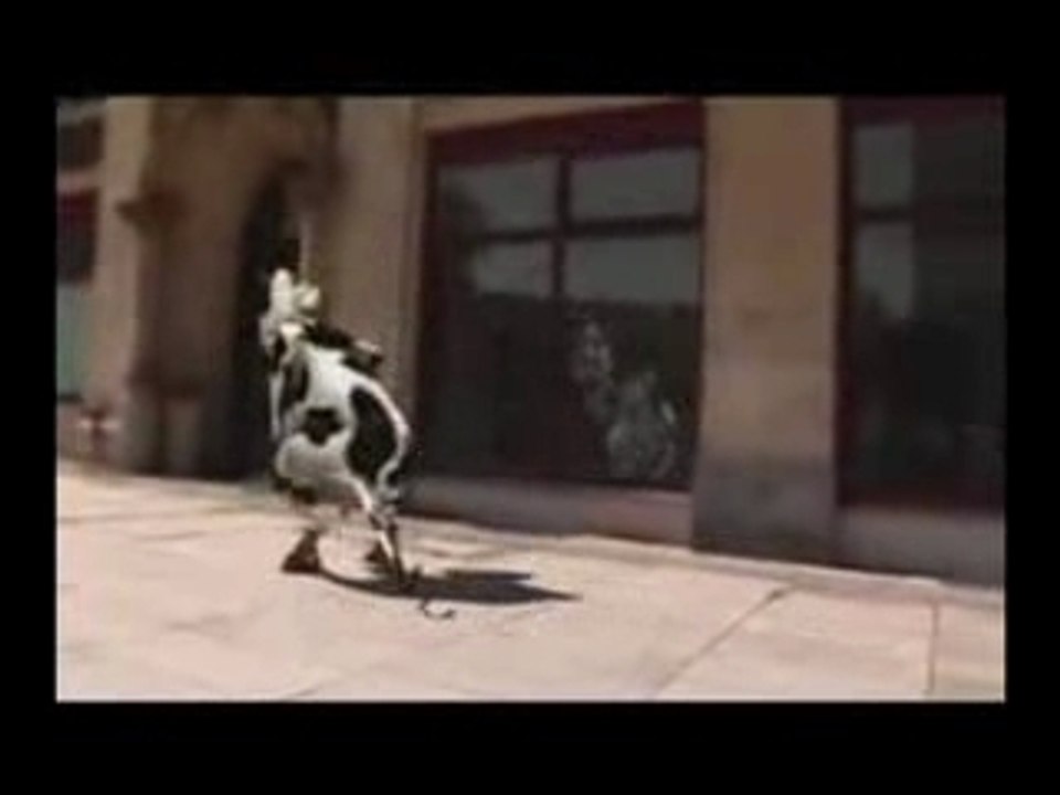 la vache qui danse
