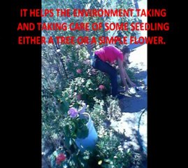 Equipo 5.- sustainable development