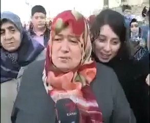 Onun Kocası Anlamaz, Çünkü O Bir Öküz!