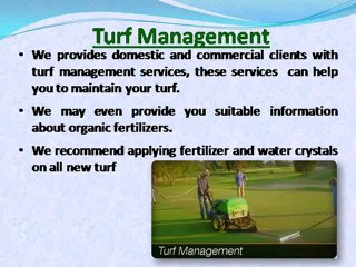 Turf, Turf Brisbane, Turf Gold Coast, Turf Queensland