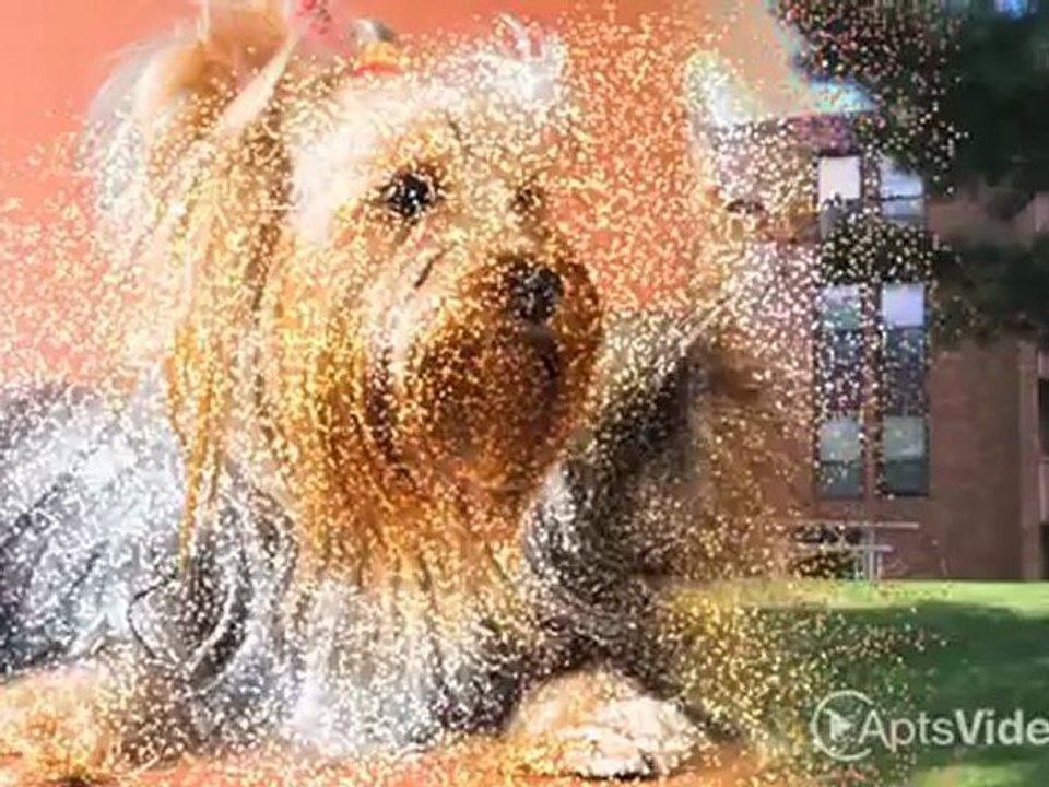 Holiday Acres Apartments in West Saint Paul, MN - ForRent.com