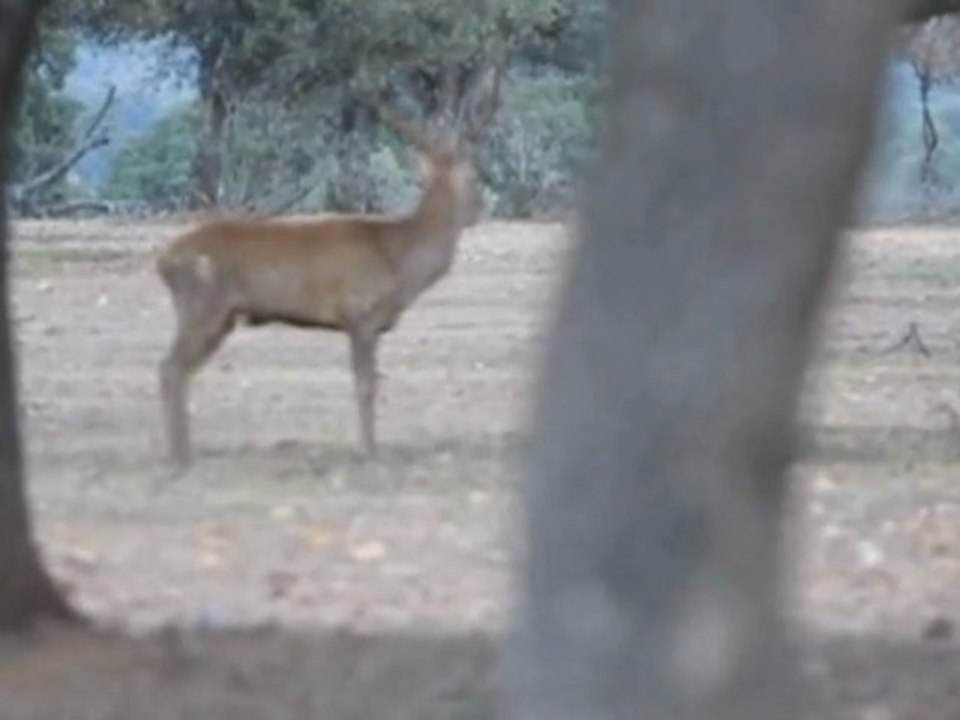 BERREA 2012