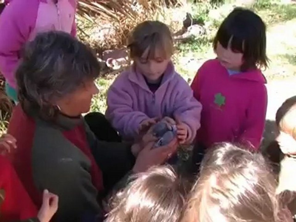 La Educación Prohibida [2/5]