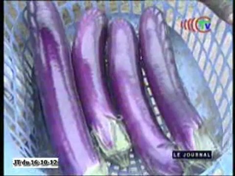 Journée mondiale de l'alimentation