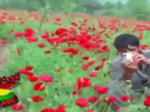 Koma Awaze Ciya - Pkk ne -کۆمه‌ ئاوازی چیا په‌که‌که‌نه‌