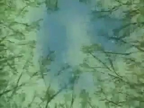 L'Homme qui plantait des Arbres (Recit de Jean Giono)