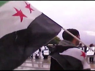 " vague blanche pour la Syrie " organisée au Trocadéro