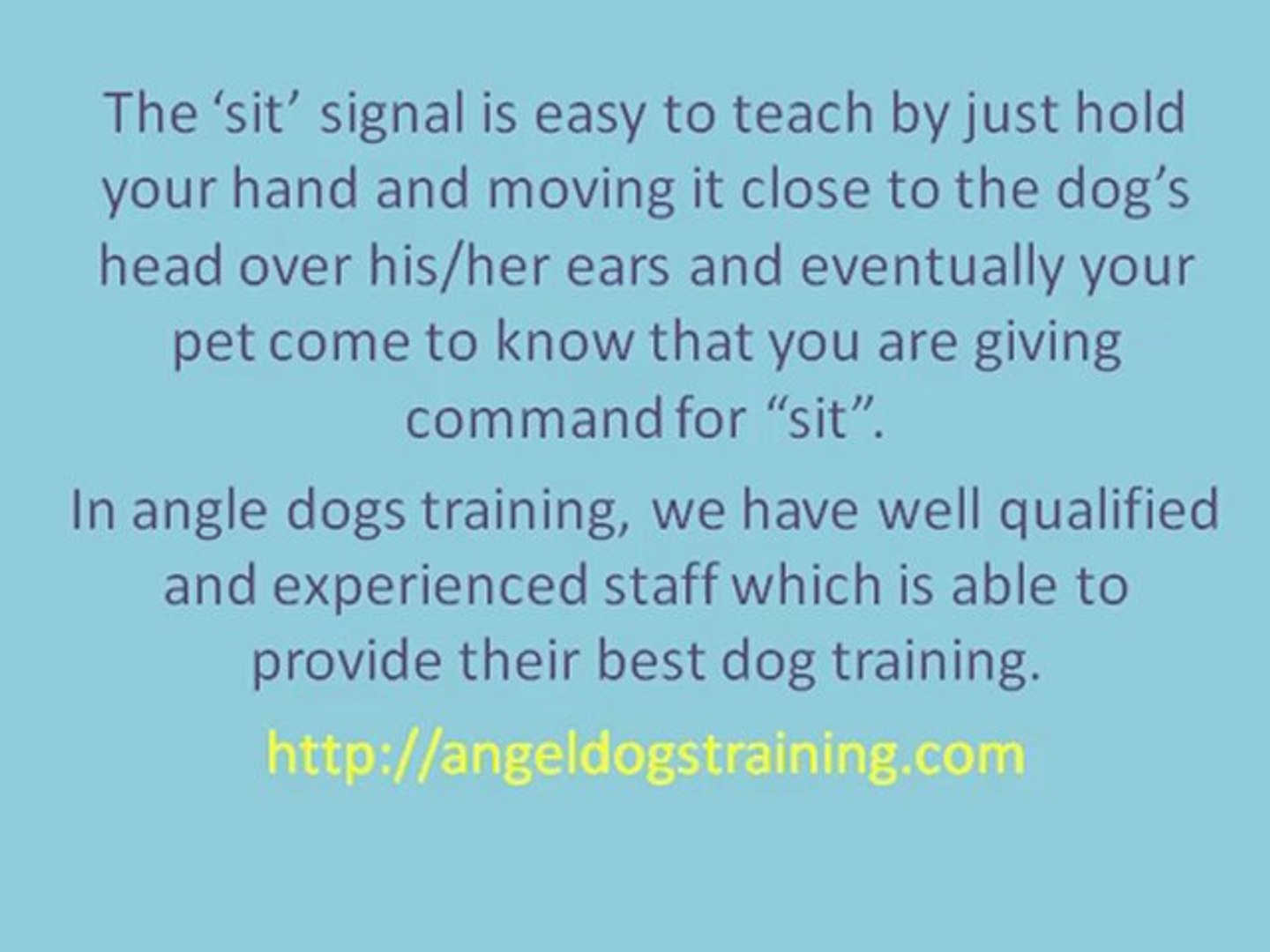 ⁣Importance of Dog training