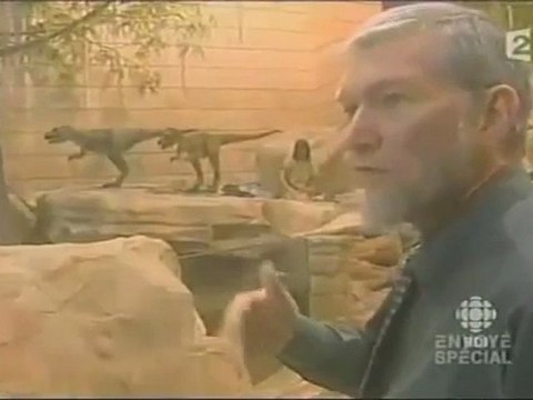 La bêtise créationniste - Manipulations, mensonges, l'apologie de l'ignorance