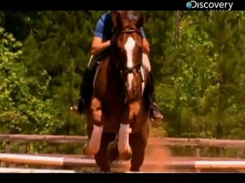 Nasil Uretilmis Lastik