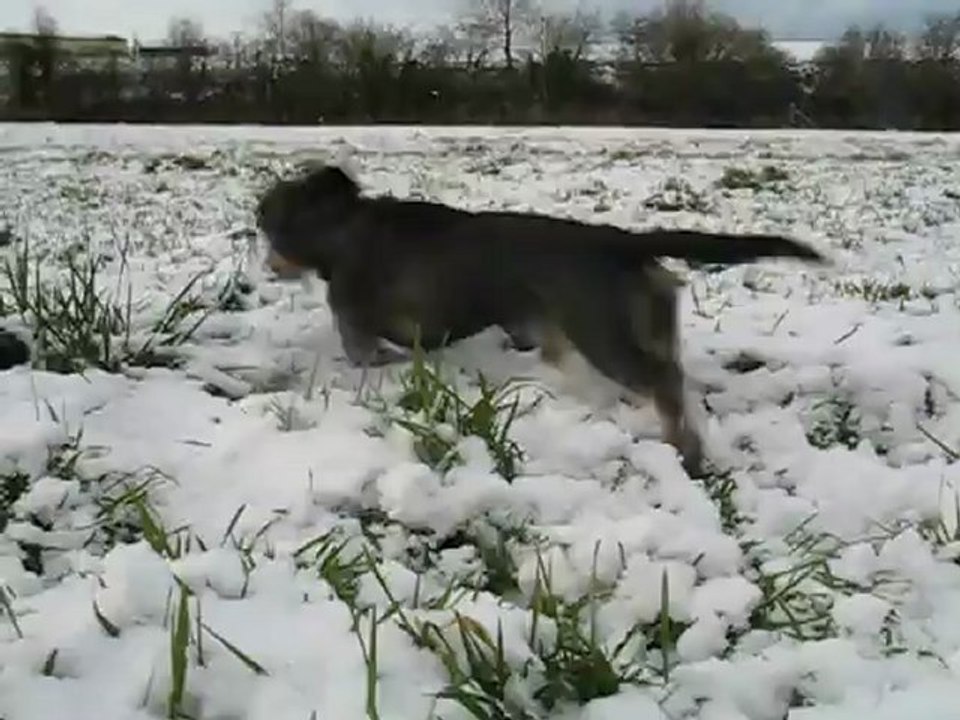 20100101 008