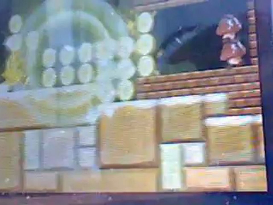 mario bros 2 fleur dorée