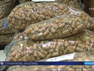 Salon au Millesium d'Epernay : Viti-Vini