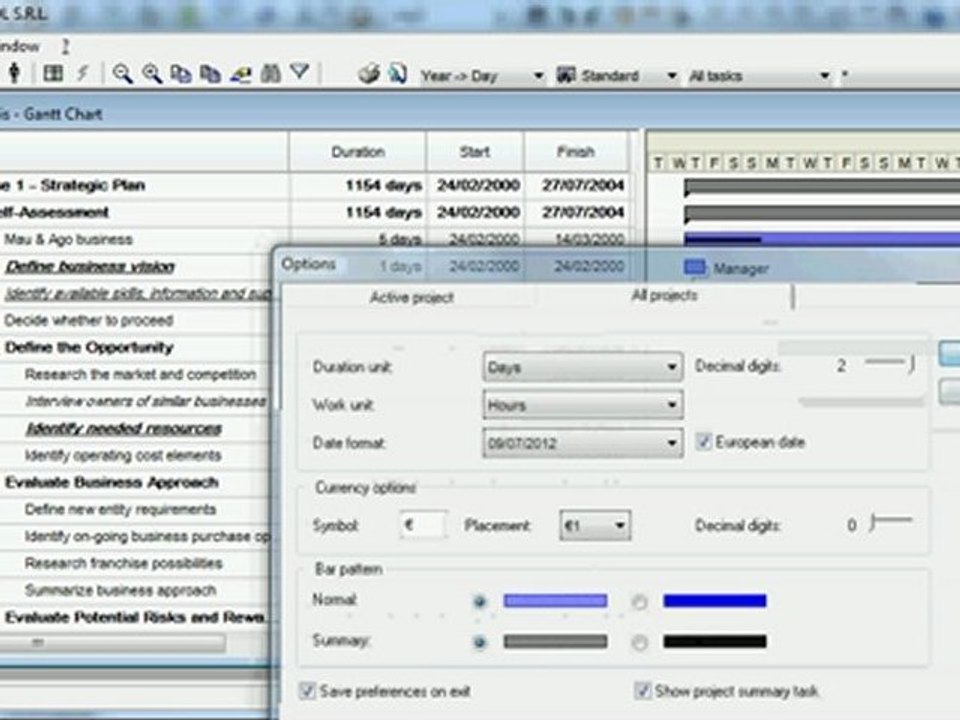 How to show the Summary of Project.  Viewer for Microsoft Project.