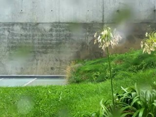 IOS: da minha janela