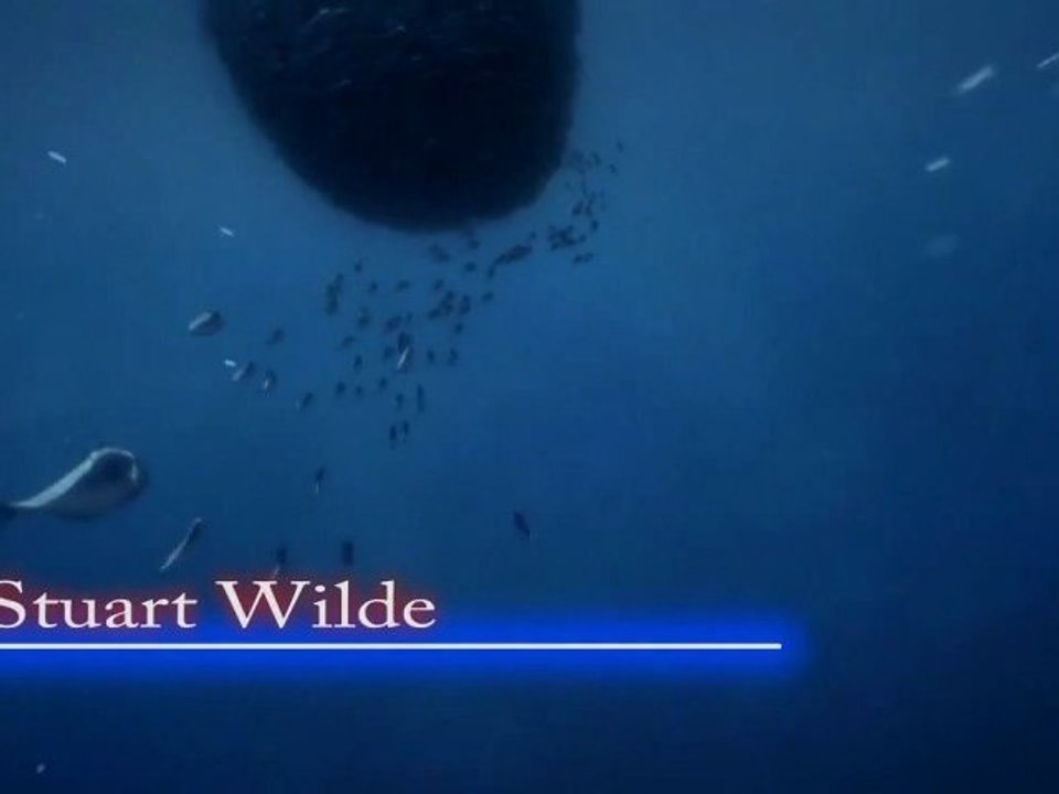 Le Nouvel Ordre Mondial n'a aucune chance de voir le jour