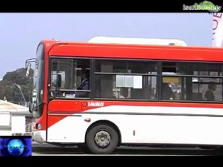 TG ISOLAVERDE EDIZIONE DI MERCOLEDI 17 OTTOBRE 2012