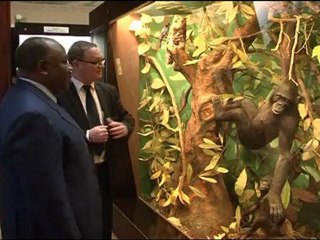 Visite du Président au Musée de l'Afrique Centrale