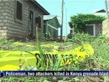 Policeman, attackers killed in Kenya grenade blast