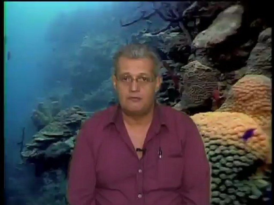 EL COMENTARIO DE HOY    "EL PROGRAMA DE AUSTERIDAD"