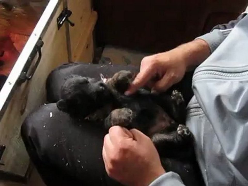 Elle craind déjà les chatouilles