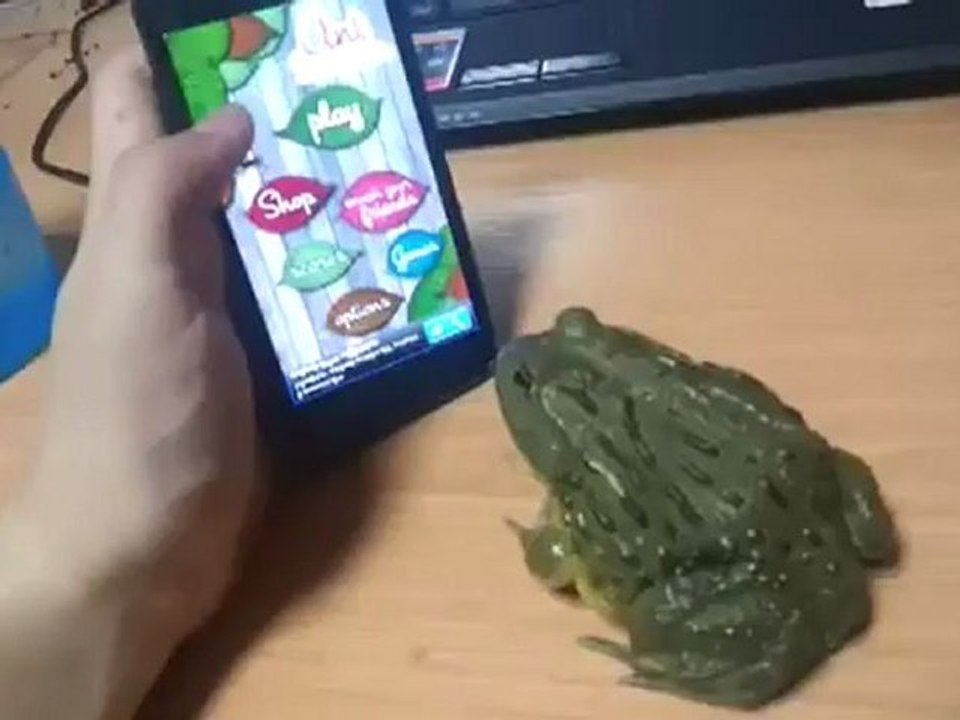 Sapo e o Smartphone