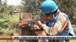 RDC: L’ONU accuse à nouveau le Rwanda et l’Ouganda