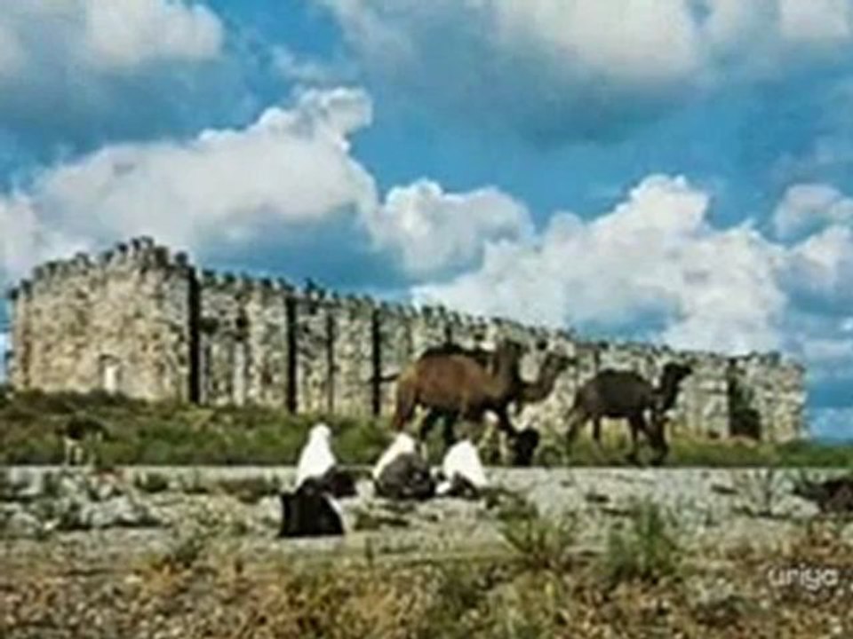 caravan