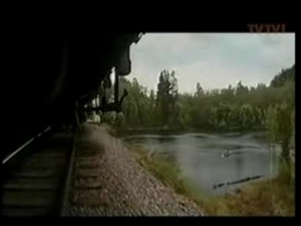 Björk - I've seen it all