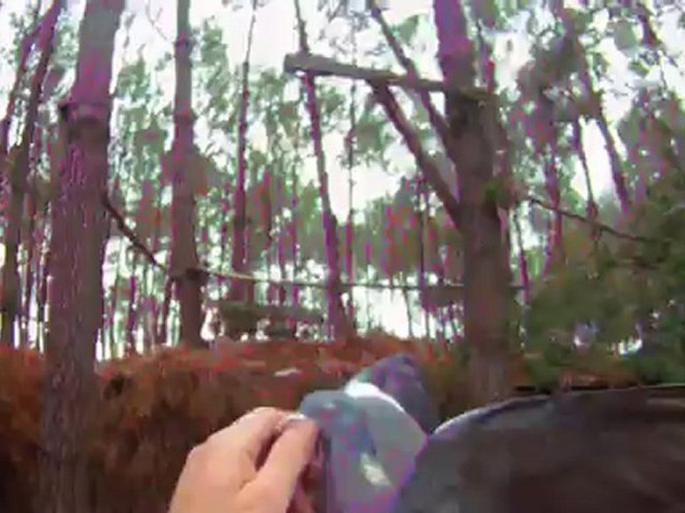 palombiere 2012  appeaux