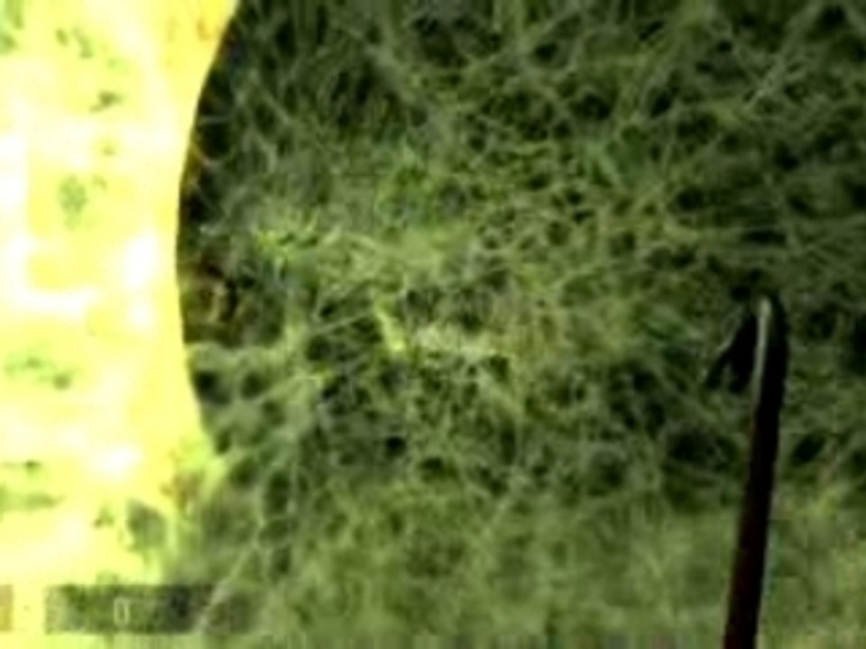 Half Life ² episode two gameplay 2