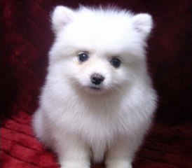 라이브바카라 ▶X­X­8­2­8­2­.­C­O­M◀  ♭♩㏇∪ぁㆅ 바카라게임 생방송바카라  카지노추천 해외카지노