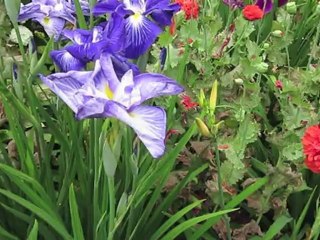 Show Me a Road  by michael hermiston