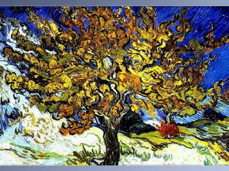 vincent