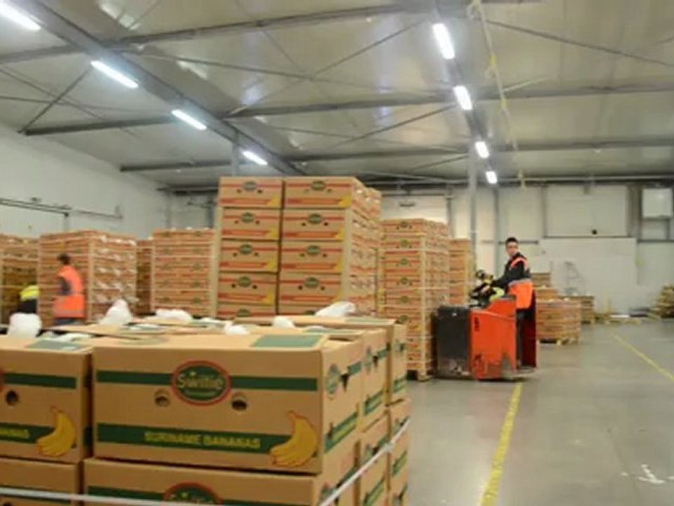 CONHEXA, Logistique et conditionnement sous température dirigée