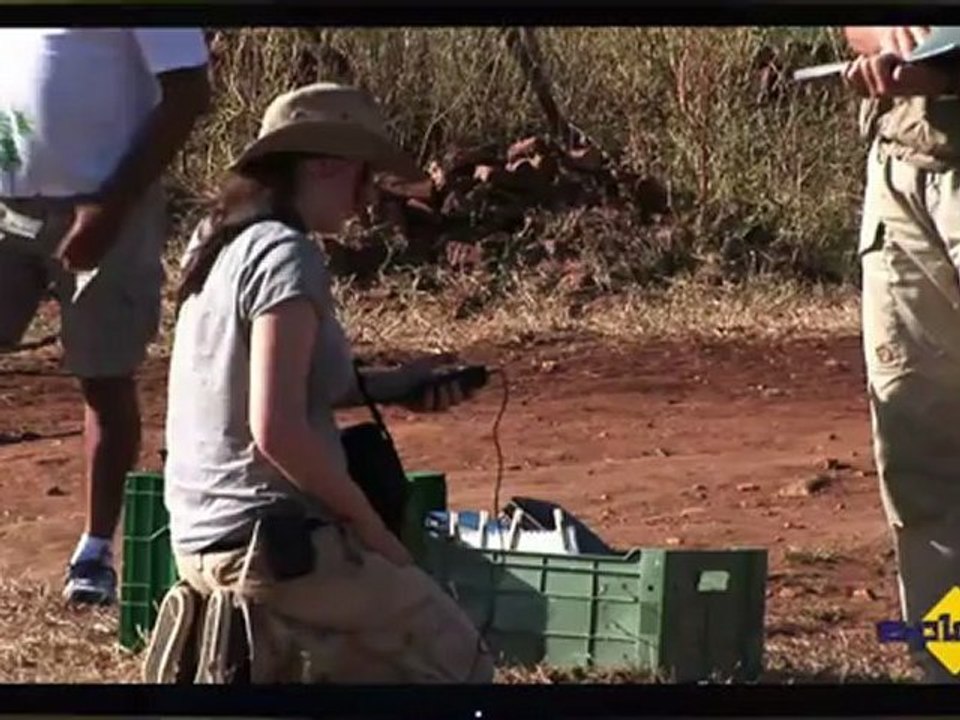 Geo-Fächer in Freiberg studieren