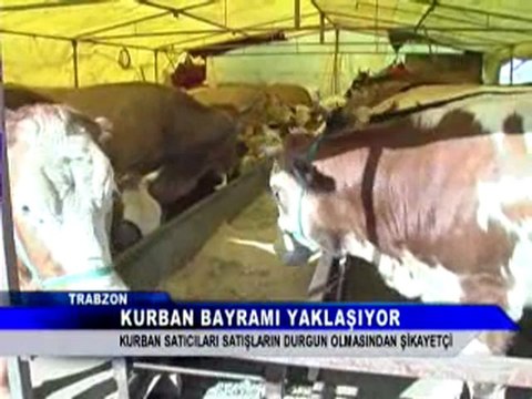 17 ana haber çay tv site