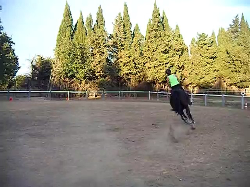 Quilda Obstacle 18 octobre