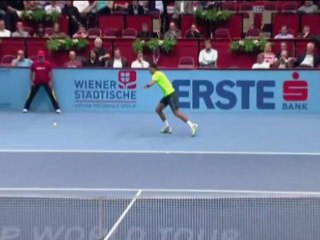 Vienne - Match de fou entre Del Potro et Brands