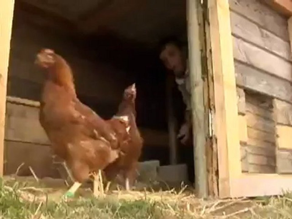 Frankreich: Huhn zu verschenken | Europa Aktuell