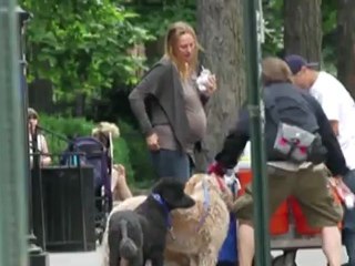 Mum's the Word For Uma Thurman and Megan Fox