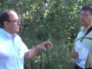 Présentation de la réserve naturelle nationale des dunes et marais d'Hourtin