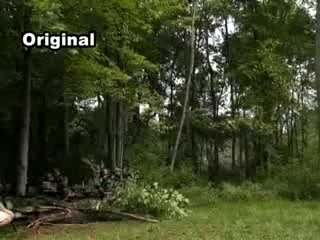 Honor Deferred, History Channel
